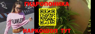 трава Кунгур