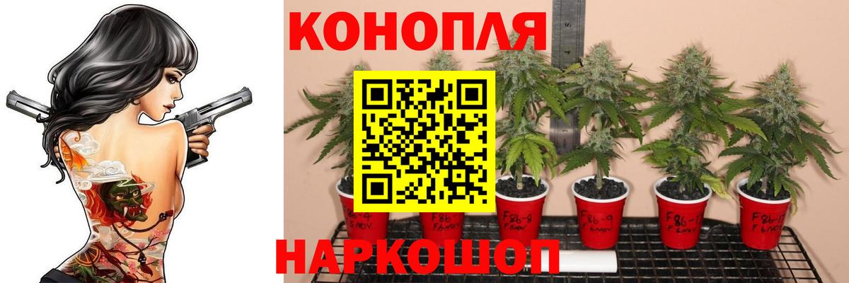 Красногорск  Конопля Ganja  Шишки марихуана марихуана  Конопля сатива  Шишки марихуана THC 21%  Вход с VPN 
